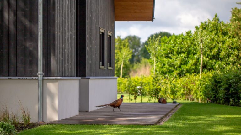 Landelijke woning in Erp